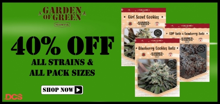 Discount Cannabis Seeds | Buy Cheap Cannabis Seeds From UK Online